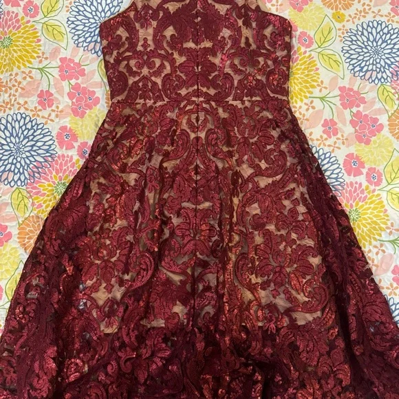 Dress the Population Burgundy Lace Maxi Dress - Picture 6 of 6